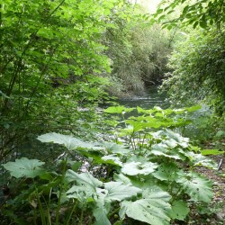 outdoor-teamspiele_ein-schoenes-wochenende_17