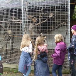 outdoor-teamspiele_kindergeburtstag-schnitzeljagt_27