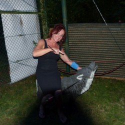 Outdoor Teamspiele
