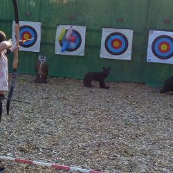 Outdoor Teamspiele