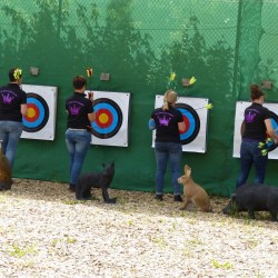 Outdoor Teamspiele