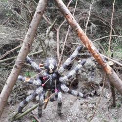 Outdoor Teamspiele